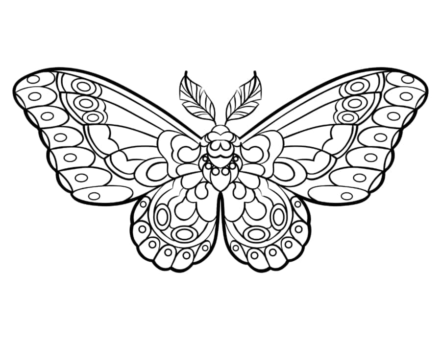 Butterfly Stylized Wing Pattern Feathered Antennae Tracing Worksheets Pdf Free Vectors